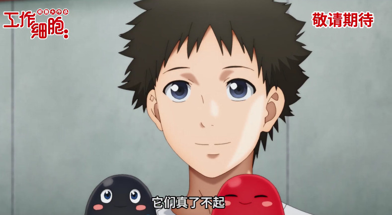 动画电影《工作细胞》确认引进 中文预告、海报公布