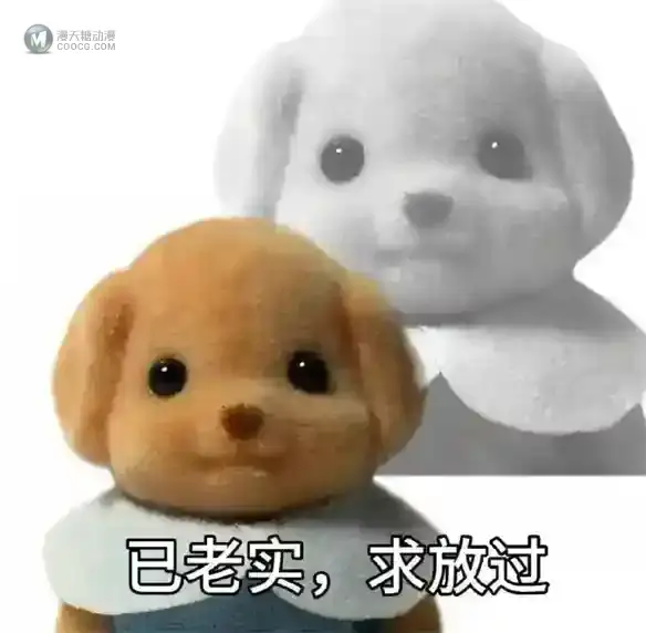 Chiikawa之后,森贝儿能成为新晋顶流吗? Chiikawa之后,森贝儿能成为新晋顶流吗?