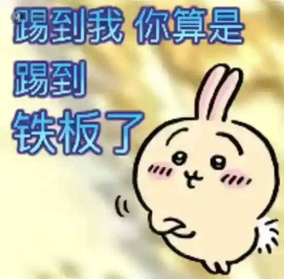 Chiikawa之后,森贝儿能成为新晋顶流吗? Chiikawa之后,森贝儿能成为新晋顶流吗?