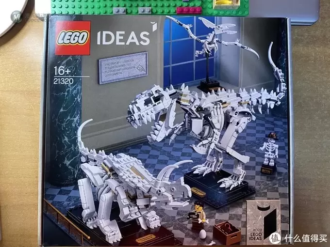 原创贴：Lego 21320 恐龙化石套装拼装分享 （本站首发）
