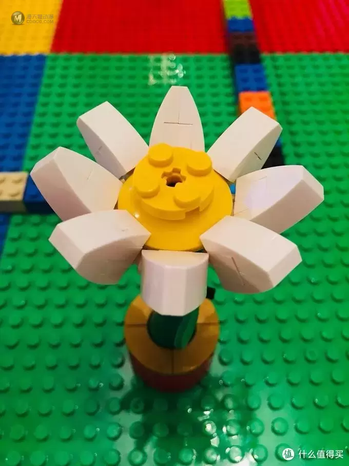 LEGO 40187 为爱花的乐高粉准备的小套装