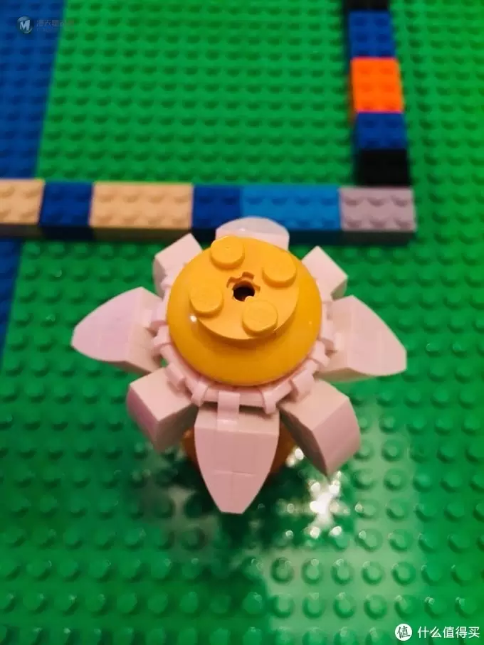 LEGO 40187 为爱花的乐高粉准备的小套装