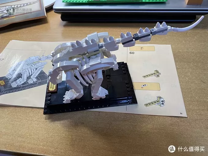 原创贴：Lego 21320 恐龙化石套装拼装分享 （本站首发）