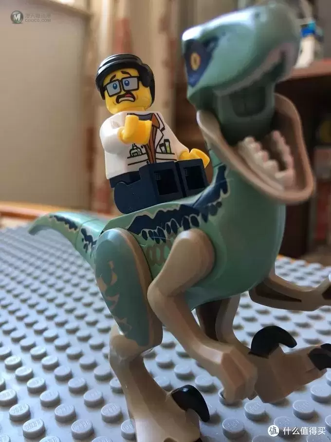 乐高动物界的霸主—LEGO侏罗纪世界 恐龙配件晒物