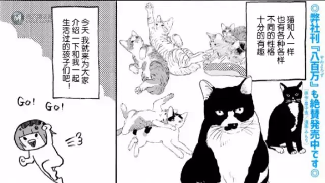 みもり治愈小短篇「猫咪超可爱！！」