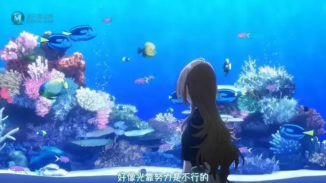 TV动画「白砂的Aquatope」先导PV公开