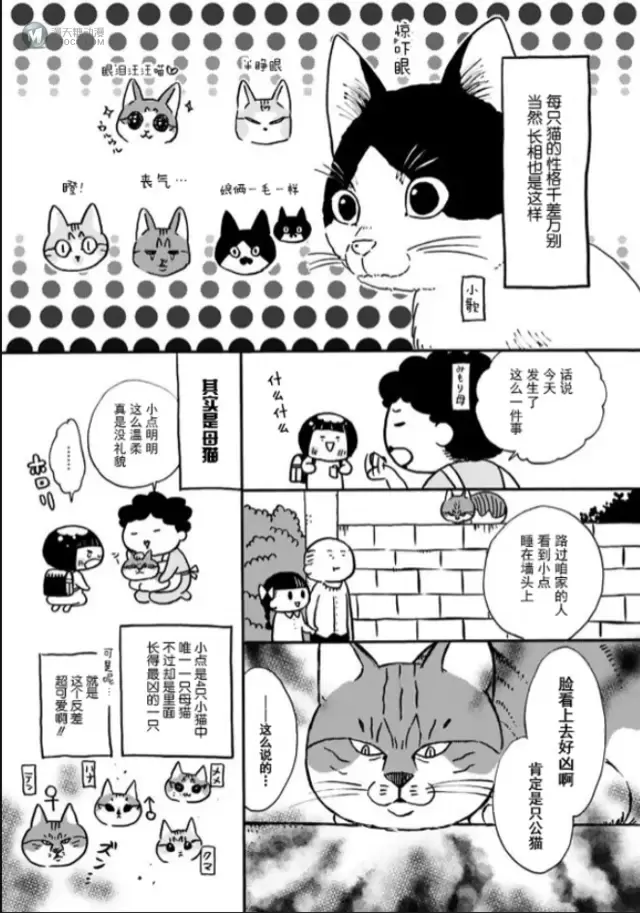 みもり治愈小短篇「猫咪超可爱！！」