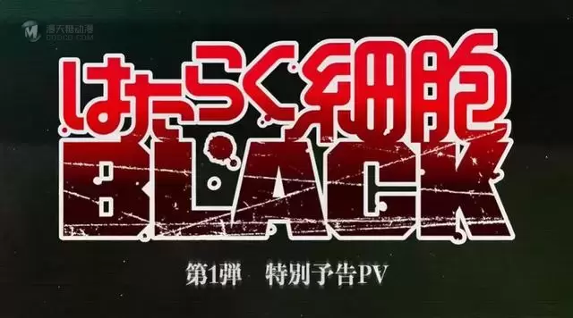 TV动画「工作细胞BLACK」特别PV发布