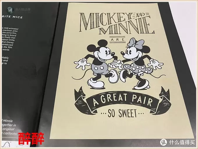 虚测评 篇八十一：乐高积木43179-Mickey Mouse（米奇与米妮）