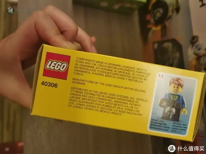 木佬佬乐高 篇六：legoland乐高乐园特辑（中）lego 40306+40347