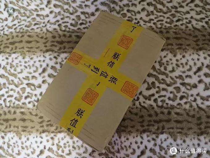 一个设计感十足的遥控赛车——野蛮娃娃P-201遥控跑车测评