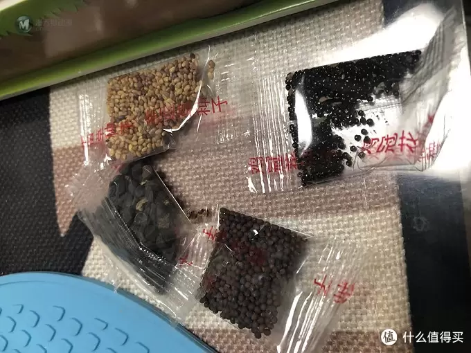 六一玩什么？适合亲子互动的立体拼图种植农场，在家也能种菜收获