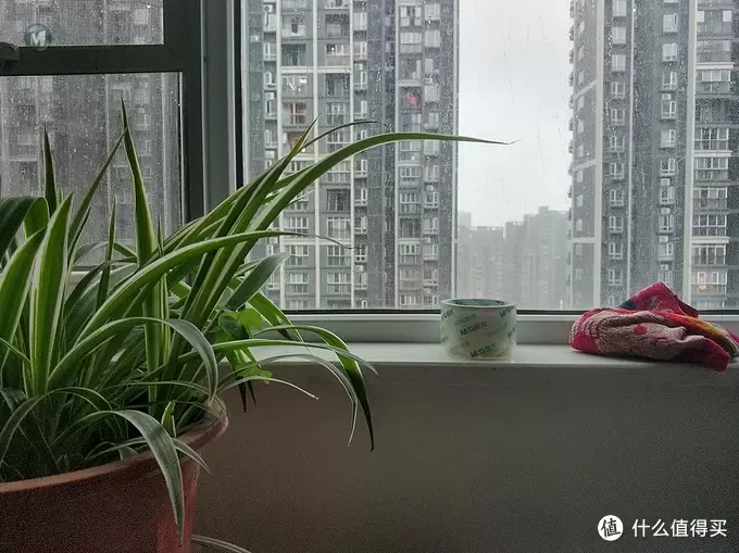图书馆猿の晨光(M&G)政区地球仪 简单晒