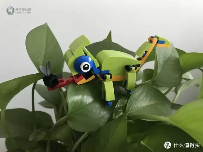 双11买了就要晒-乐高篇 篇四：#晒单大赛#LEGO 乐高 30477 Chameleon 七彩变色龙