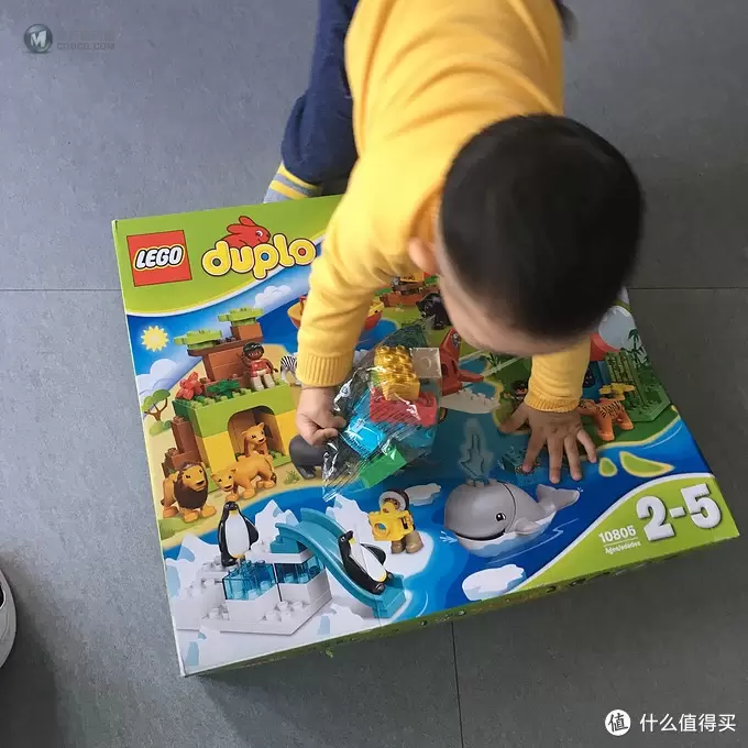 七八九：我家有个LEGO动物园