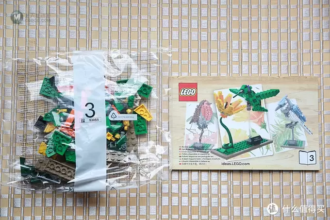 等一朵花开的时间：LEGO 乐高 21301 鸟类模型