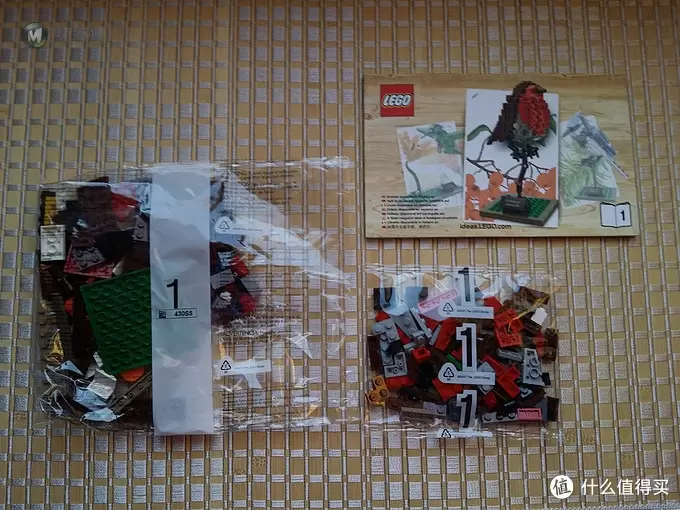 等一朵花开的时间：LEGO 乐高 21301 鸟类模型