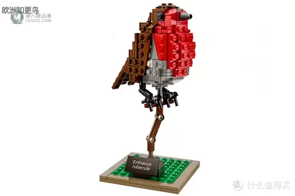 巧妙设计外观神似：LEGO 乐高 iDEAS系列 21301 BIRDS 鸟语花香 国内开售