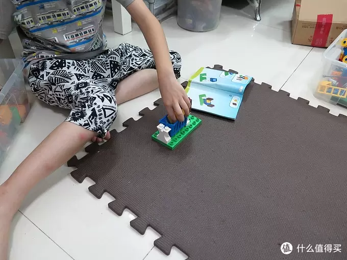 LEGO Duplo 得宝 森林主题:野生公园 10584