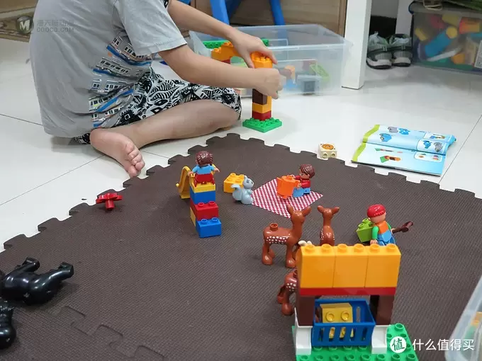 LEGO Duplo 得宝 森林主题:野生公园 10584