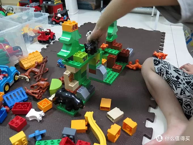 LEGO Duplo 得宝 森林主题:野生公园 10584