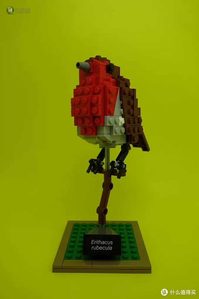 最美乐高？LEGO 乐高 Ideas 21301 Birds Model Kit 鸟类模型