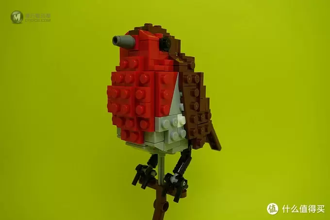 最美乐高？LEGO 乐高 Ideas 21301 Birds Model Kit 鸟类模型