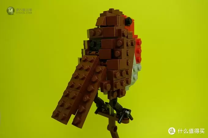 最美乐高？LEGO 乐高 Ideas 21301 Birds Model Kit 鸟类模型