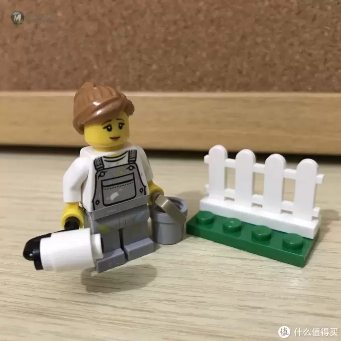 LEGO 乐高 CITY系列 60134 公园人仔套装开箱