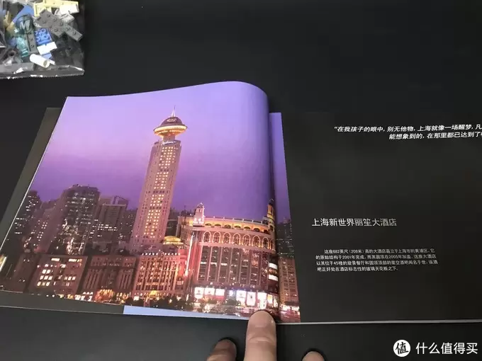 LEGO 乐高 天际线建筑系列 21039 上海 开箱