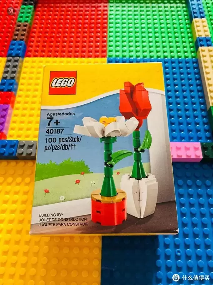 LEGO 40187 为爱花的乐高粉准备的小套装