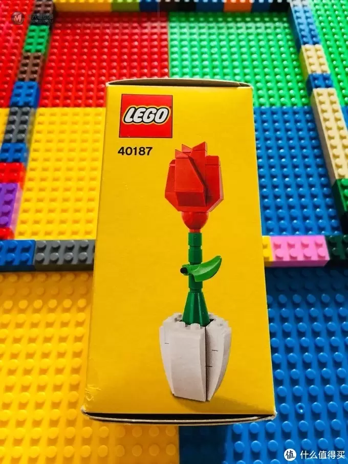 LEGO 40187 为爱花的乐高粉准备的小套装