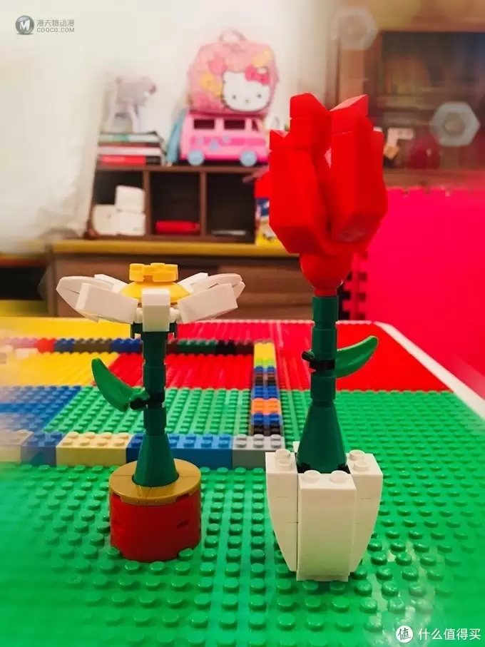 LEGO 40187 为爱花的乐高粉准备的小套装