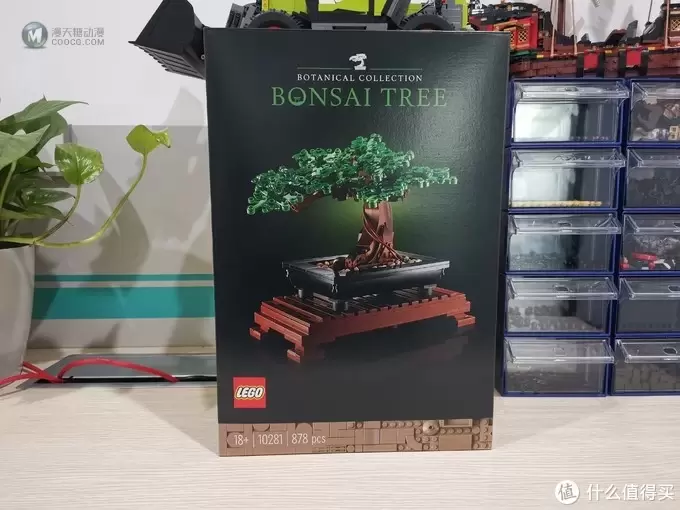 老杨的玩具仓库 篇六十四：LEGO 花草植物系列 10281 盆景盆栽 评测