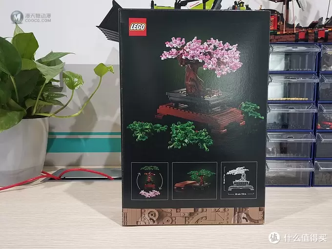 老杨的玩具仓库 篇六十四：LEGO 花草植物系列 10281 盆景盆栽 评测