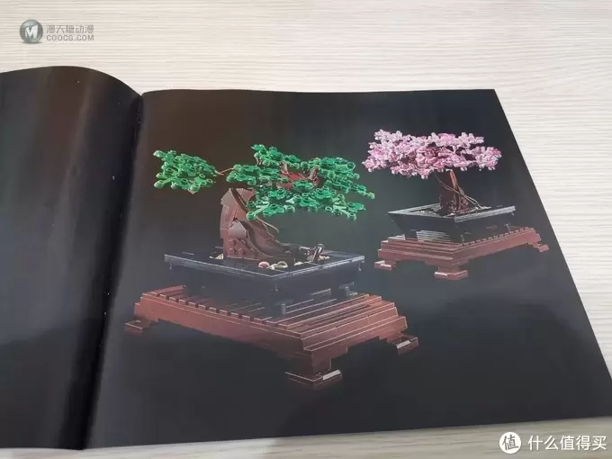 老杨的玩具仓库 篇六十四：LEGO 花草植物系列 10281 盆景盆栽 评测