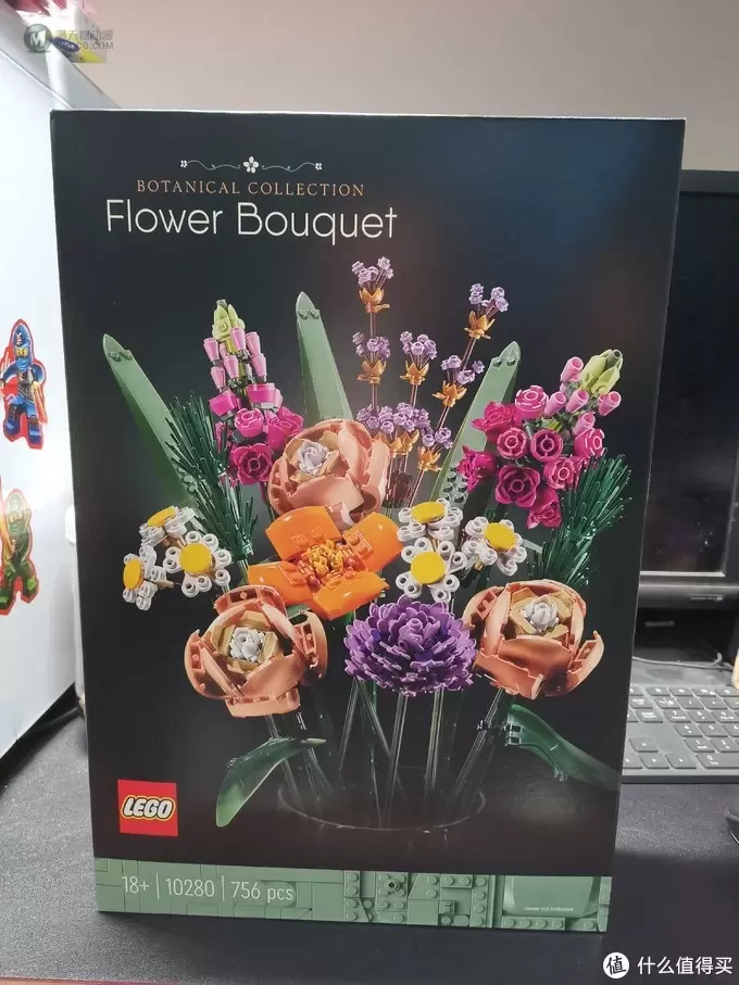 老杨的玩具仓库 篇五十四：LEGO 植物收藏系列 10280 花束套装 评测