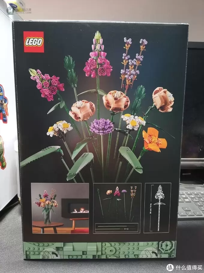 老杨的玩具仓库 篇五十四：LEGO 植物收藏系列 10280 花束套装 评测