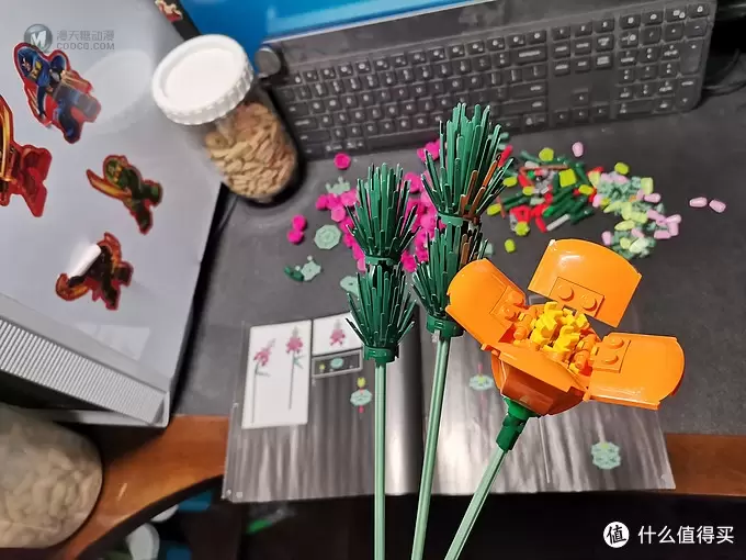 老杨的玩具仓库 篇五十四：LEGO 植物收藏系列 10280 花束套装 评测