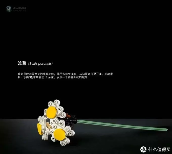 了解套装背后的故事——乐高10280乐高花束设计师访谈