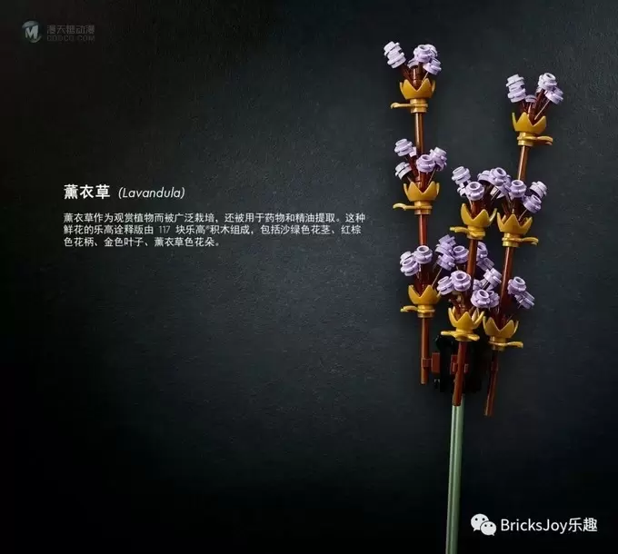 你知道这些乐高花植套装背后的小秘密吗？