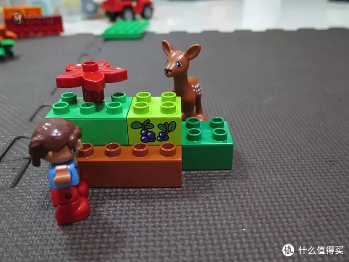 LEGO Duplo 得宝 森林主题:野生公园 10584