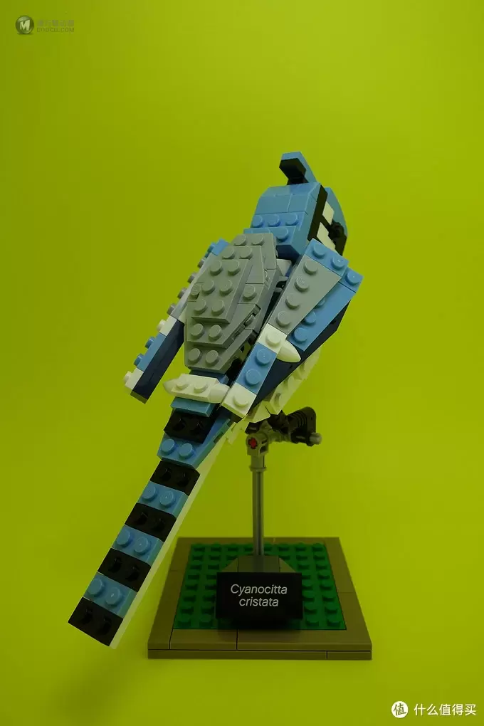 最美乐高？LEGO 乐高 Ideas 21301 Birds Model Kit 鸟类模型