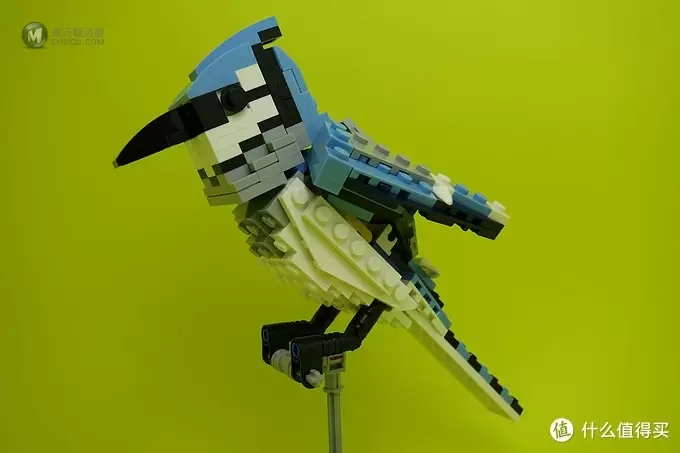 最美乐高？LEGO 乐高 Ideas 21301 Birds Model Kit 鸟类模型