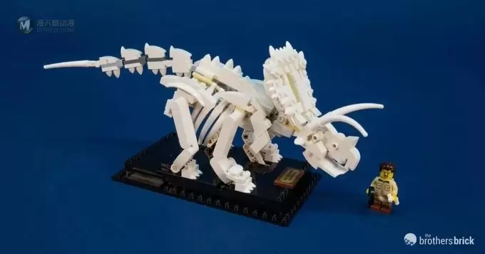 实物测评转，看看这款LEGO Ideas 21320 到底怎样？