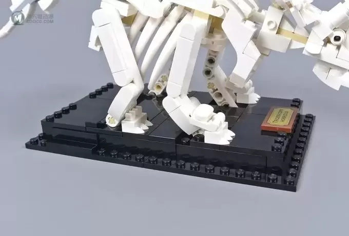 实物测评转，看看这款LEGO Ideas 21320 到底怎样？