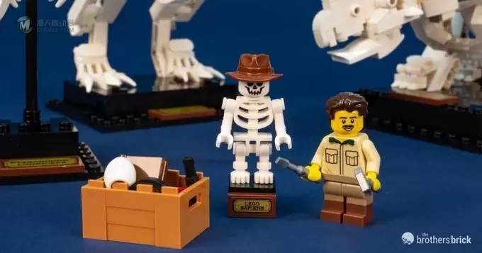 实物测评转，看看这款LEGO Ideas 21320 到底怎样？