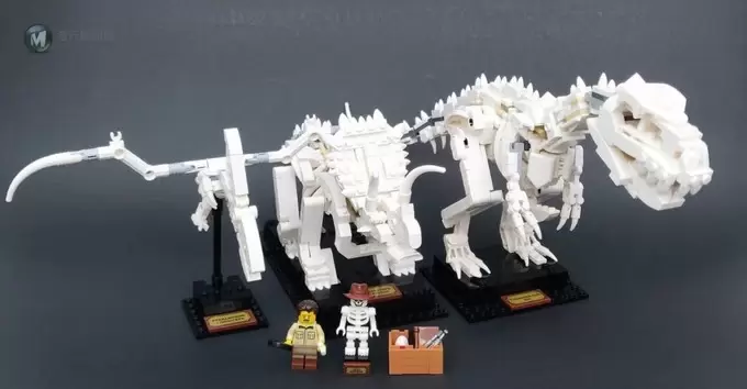 实物测评转，看看这款LEGO Ideas 21320 到底怎样？