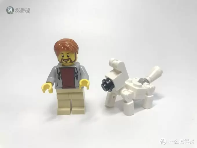 LEGO 乐高 Creator 创意百变系列 31075 荒野大冒险