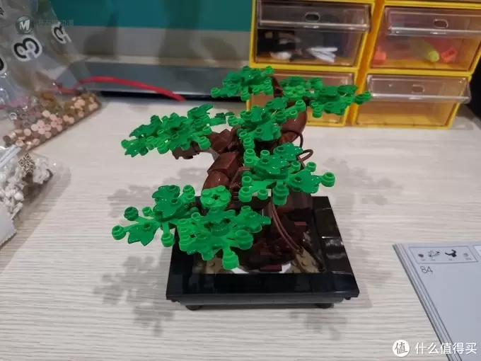 老杨的玩具仓库 篇六十四：LEGO 花草植物系列 10281 盆景盆栽 评测